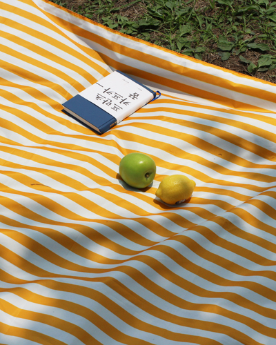 yellow stripe waterproof picnicmat